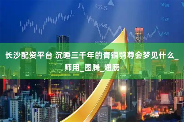 长沙配资平台 沉睡三千年的青铜鸮尊会梦见什么_师用_图腾_翅膀